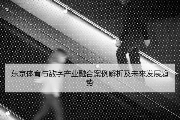 东京体育与数字产业融合案例解析及未来发展趋势