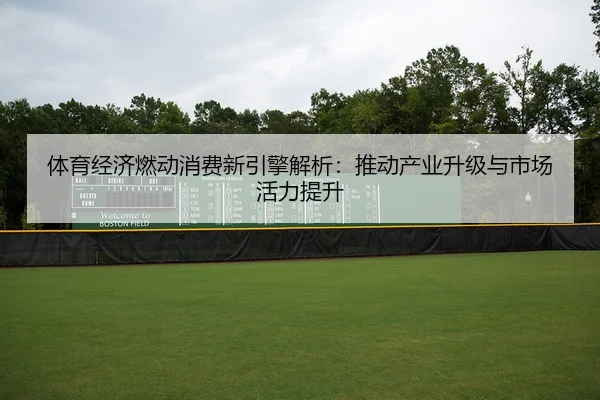 体育经济燃动消费新引擎解析：推动产业升级与市场活力提升